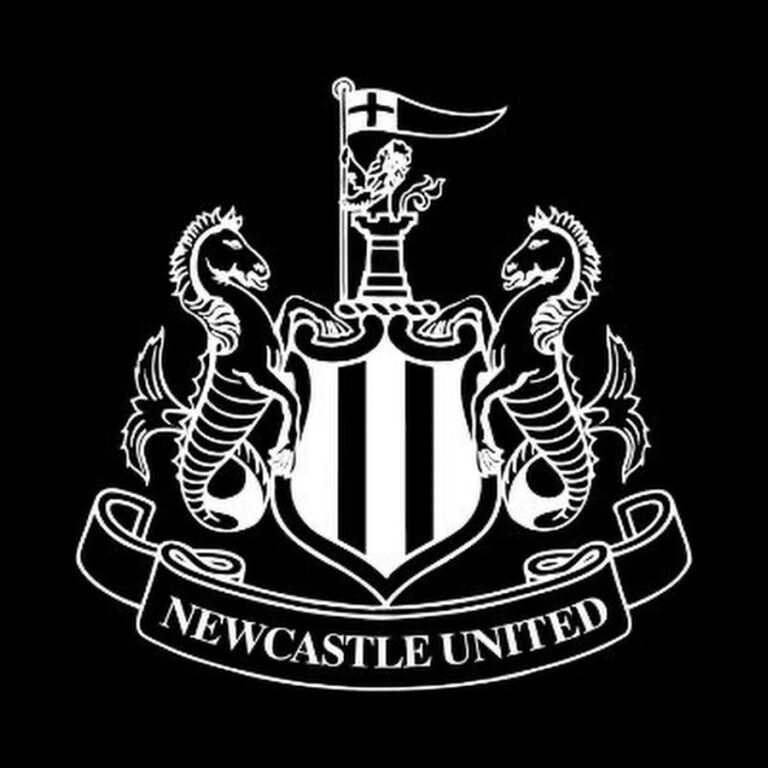 The newcastle are prioritizing the acquisition of a central defender to provide cover or competition on the left side, and the most telented footballer is the ideal candidate for this…