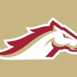 BIRStallions