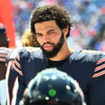 bears