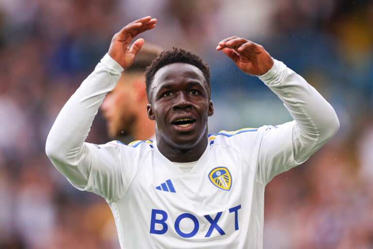 Leeds United v Cardiff City - Sky Bet Championship
