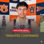 WhatsApp Image 2026-04-08 at 5.41.47 PM