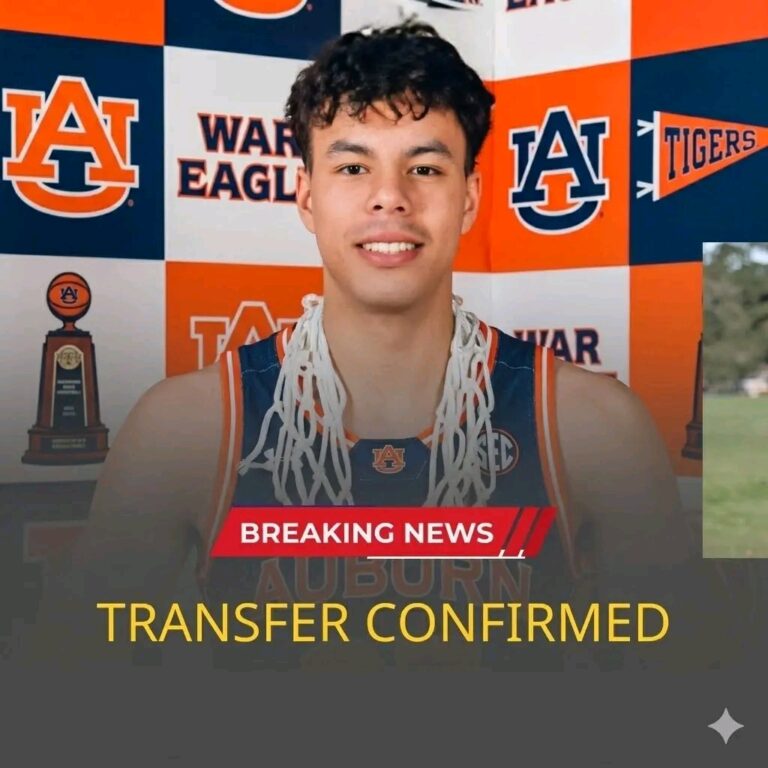 WhatsApp Image 2026-04-08 at 5.41.47 PM