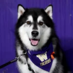 gettyimages-2246901787