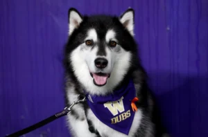 gettyimages-2246901787